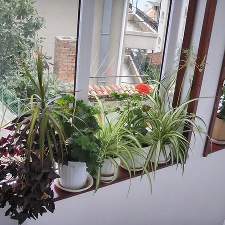 House Prodanovi Guest house 4*