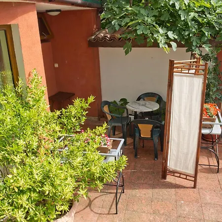 House Prodanovi 소조폴