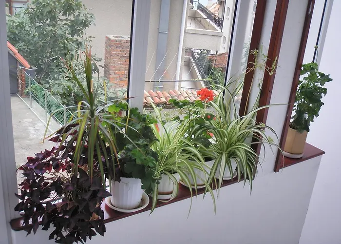 House Prodanovi Konukevi 4*