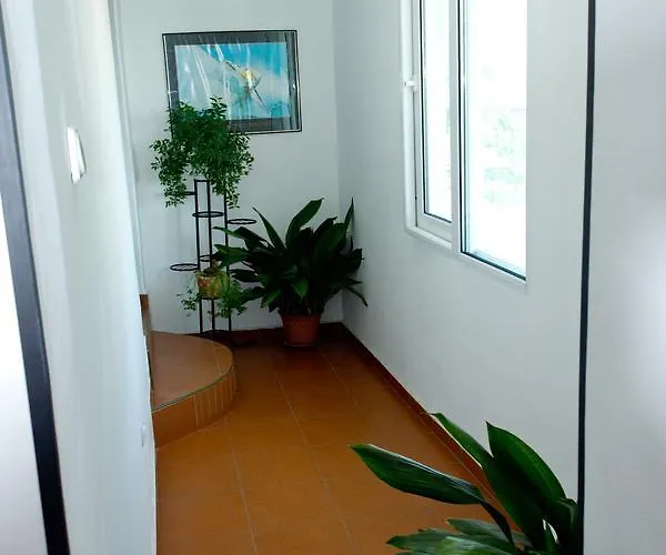 House Prodanovi Süzebolu