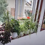 House Prodanovi Konukevi 4*