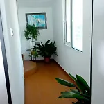 House Prodanovi Süzebolu